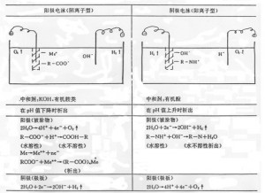 電泳原理