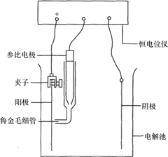 電解腐蝕試驗(yàn)儀表圖