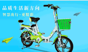 電瓶車什么牌子好，2018電瓶車十大品牌排行榜