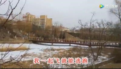 白羊歌詞是什么意思,徐秉龍白羊歌曲含義