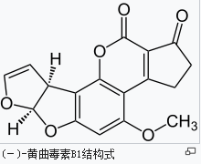 為什么說黃曲霉素是致癌物質?