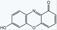 怎樣使用酚酞、石蕊指示劑和pH試紙？