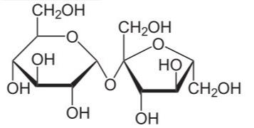 蔗糖的結(jié)構(gòu)式是什么