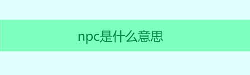 npc是什么意思