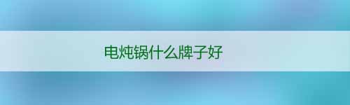 電燉鍋什么牌子好_電燉鍋十大品牌排行榜