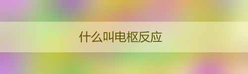 什么叫電樞反應