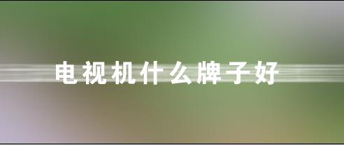 2021電視機品牌排行榜前十名_電視機什么牌子好